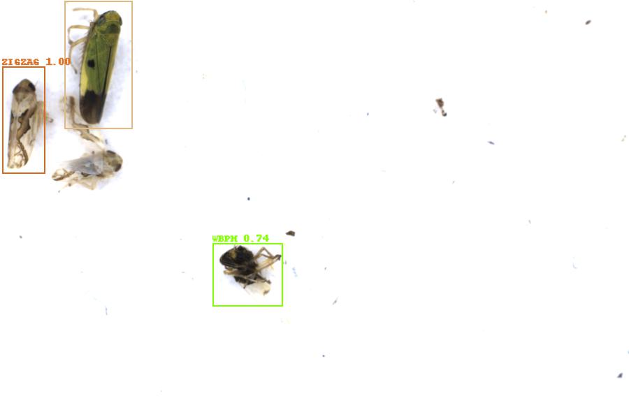 Image 9